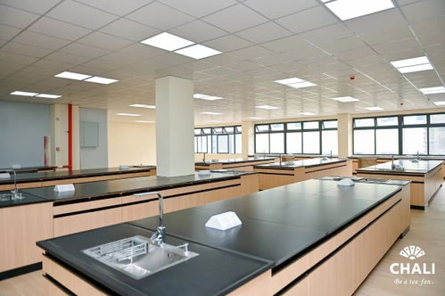 茶里集團南沙總部落成 引領中國高端袋泡茶標準化、工業(yè)化與科技化發(fā)展