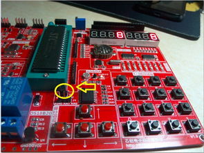 電子產品世界論壇通訊設備專題 連接未來，觸手可及